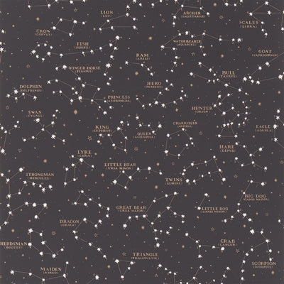 Starry Sky Black (Coastal Papers)