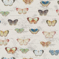 Butterfly Studies Parchment (Picture Book Wallpapers II)