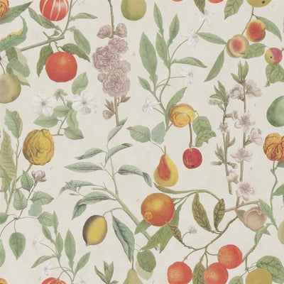 Orchard Fruits Parchment (Picture Book Wallpapers II)
