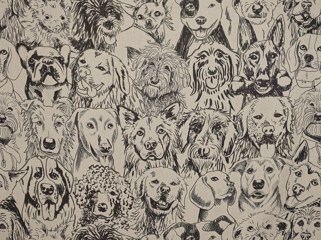 Designer dogs Corde - The Cult Of Beauty