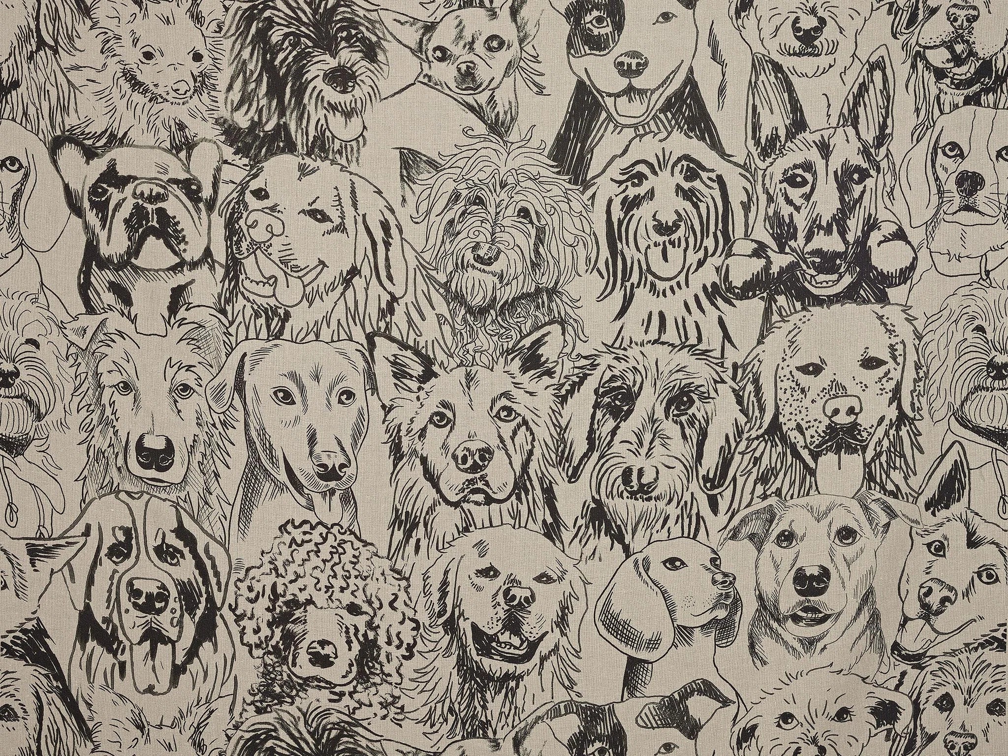 Designer dogs Corde - The Cult Of Beauty