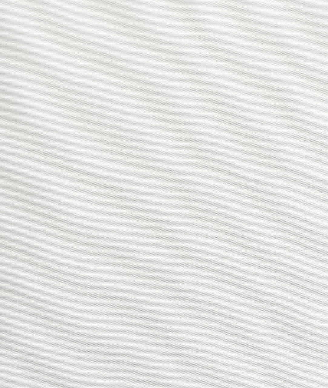 Viridiana Wall