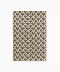 Coriandoli