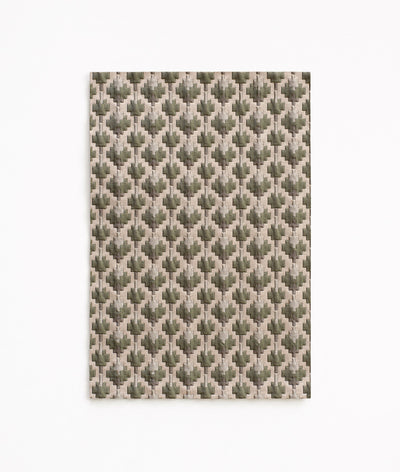 Coriandoli