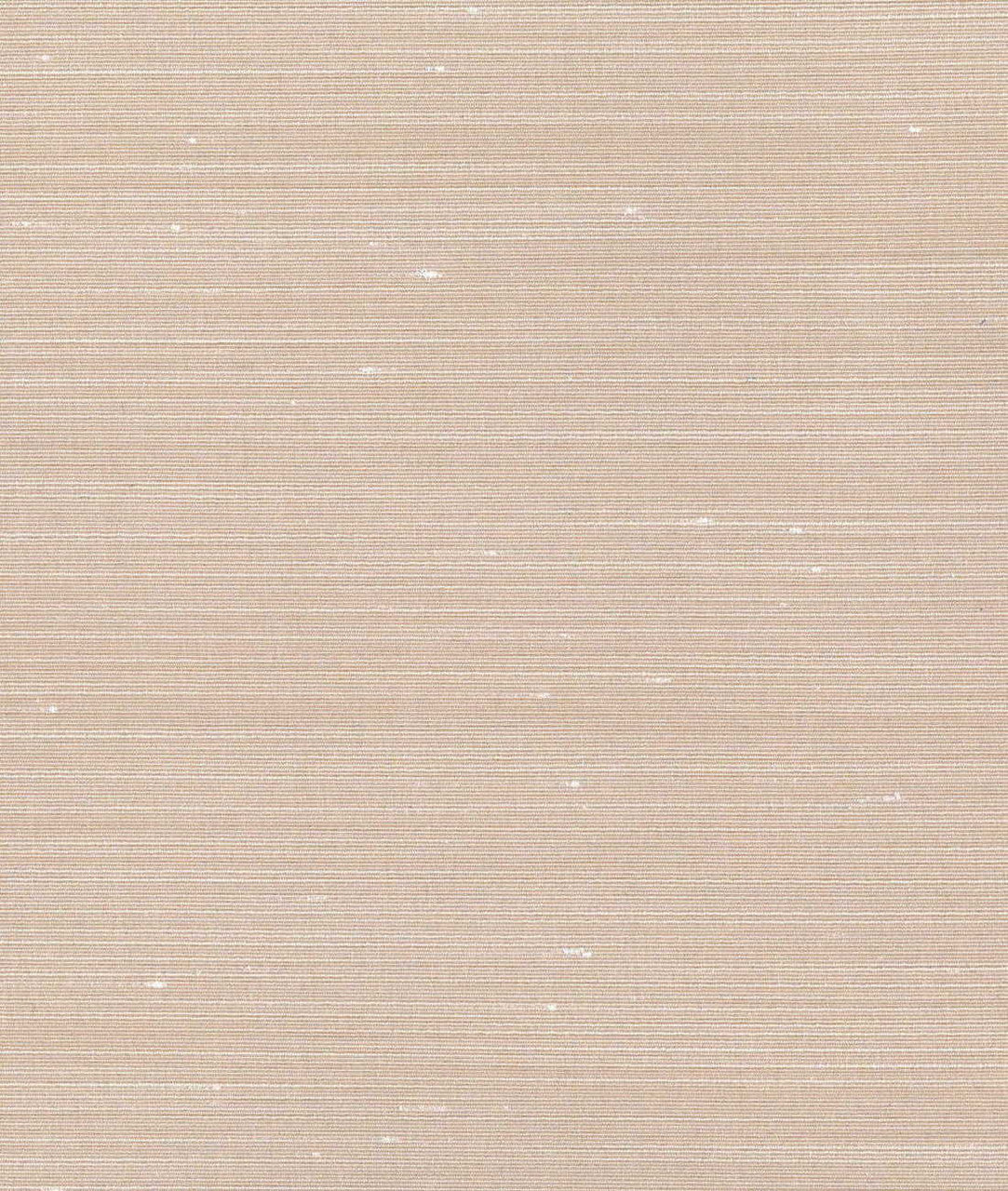 Drusilla Wall
