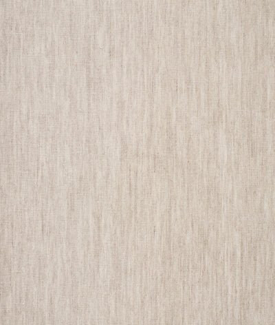 Mandolino Metallo Wall