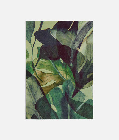 Monstera