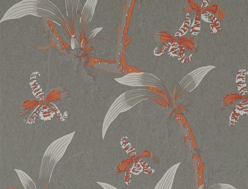 MANDARIN ORCHIDS WALLPAPER (Temple of Dawn Wallpaper)