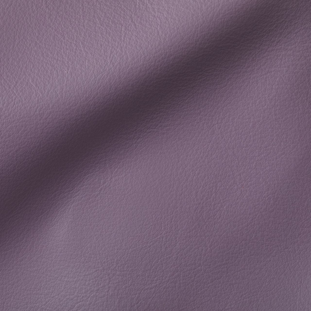 City Violette