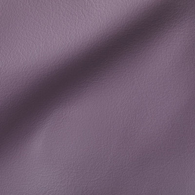 City Violette