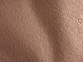 Razza Copper