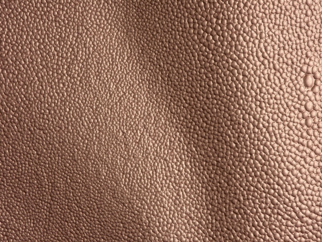 Razza Copper