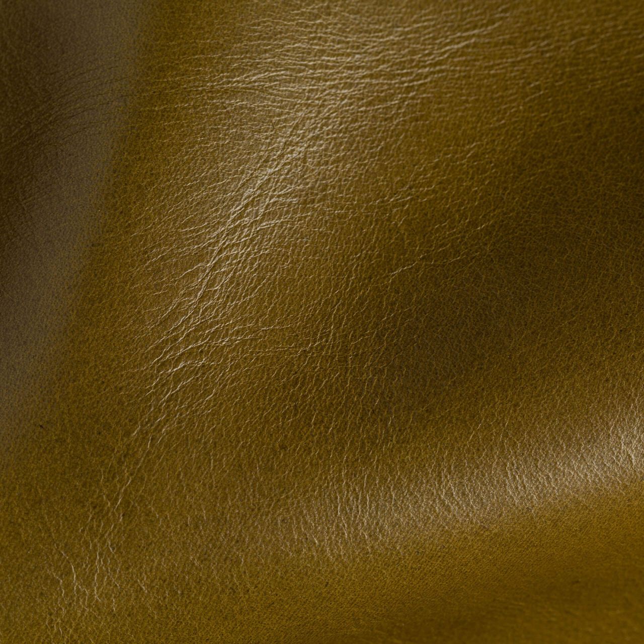 Star Kaki