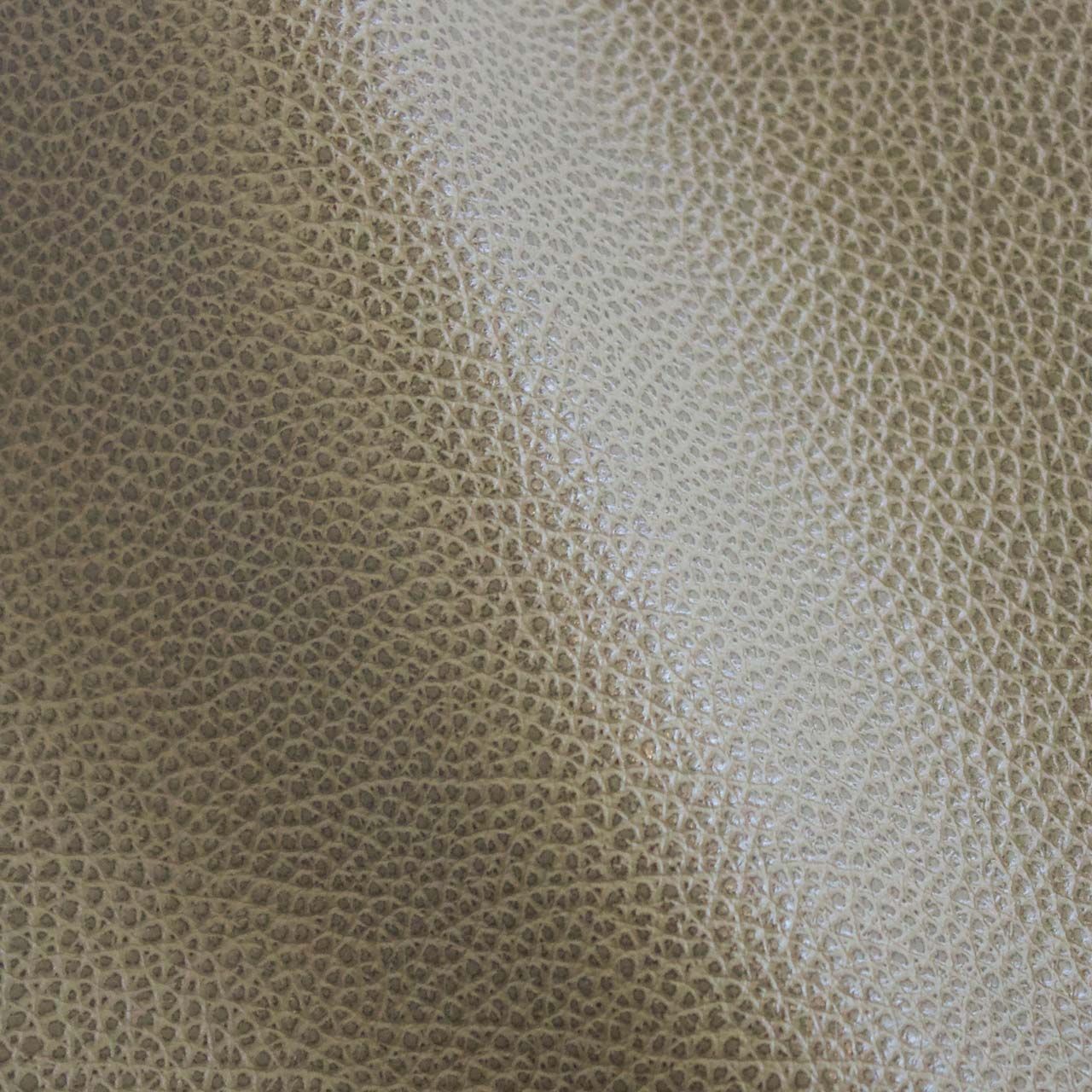 Dot Pastorius