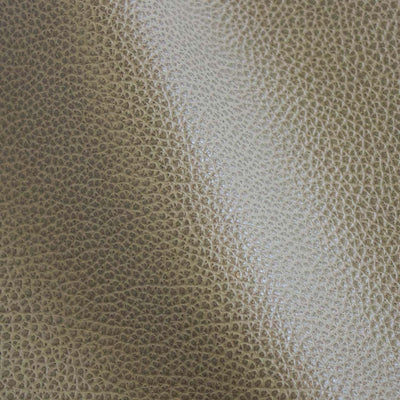 Dot Pastorius