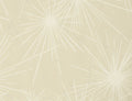 FIREWORKS WALLPAPER (Duquette's Dawnridge Wallcovering)