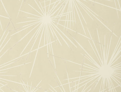 FIREWORKS WALLPAPER (Duquette's Dawnridge Wallcovering)