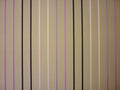 Tuxedo Viola