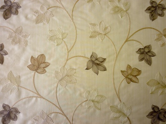 Camelia Oyster