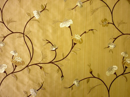 Primrose Amber