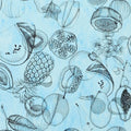 Agua Parati - Celadon (Nouveaux Mondes)