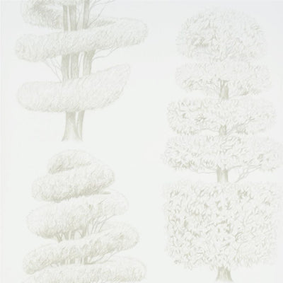 Linnaeus - Oyster (Linnaeus)