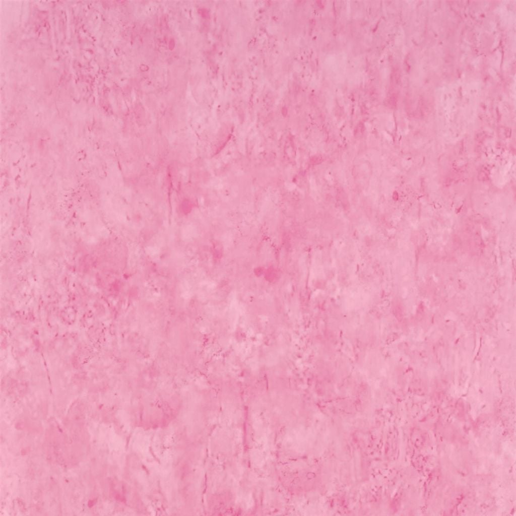 Ellora - Blossom (Linnaeus)