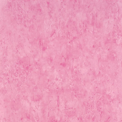 Ellora - Blossom (Linnaeus)