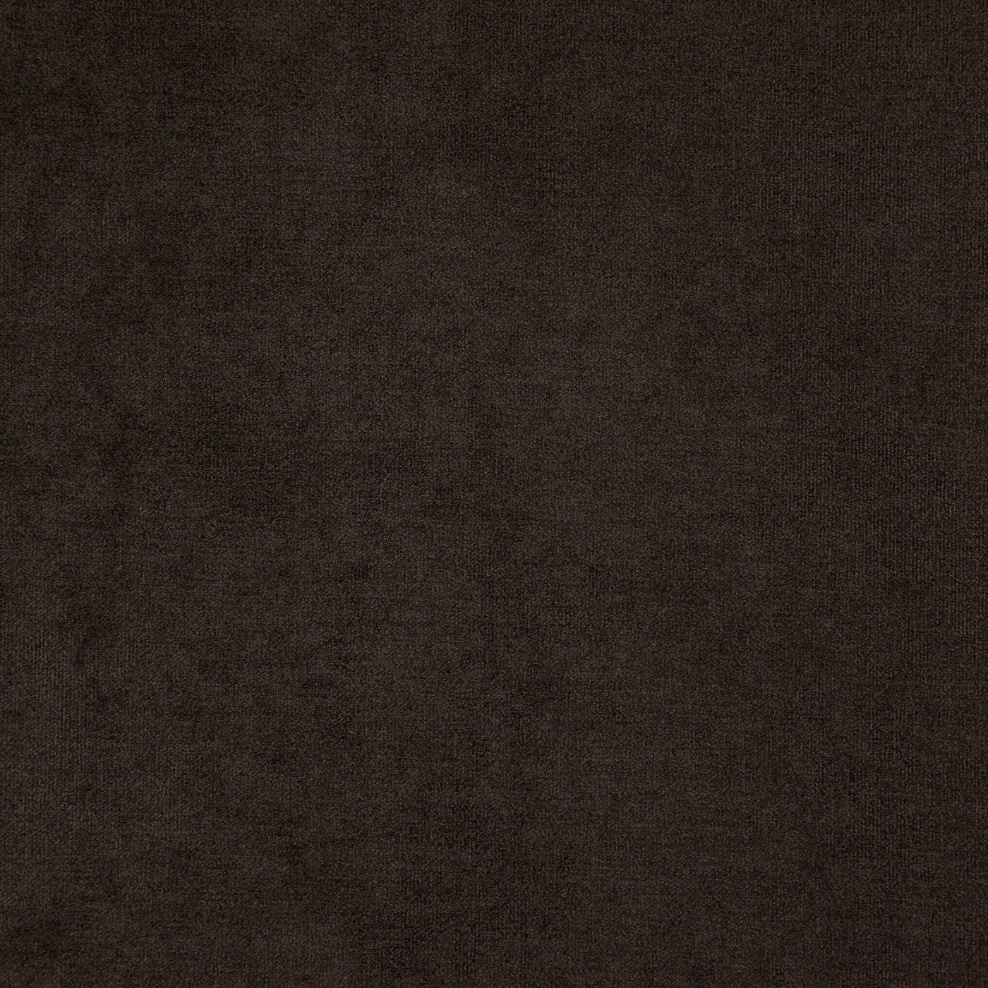 Colorado Chestnut