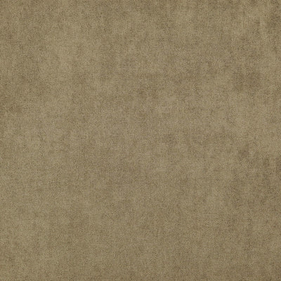 Denver Flax