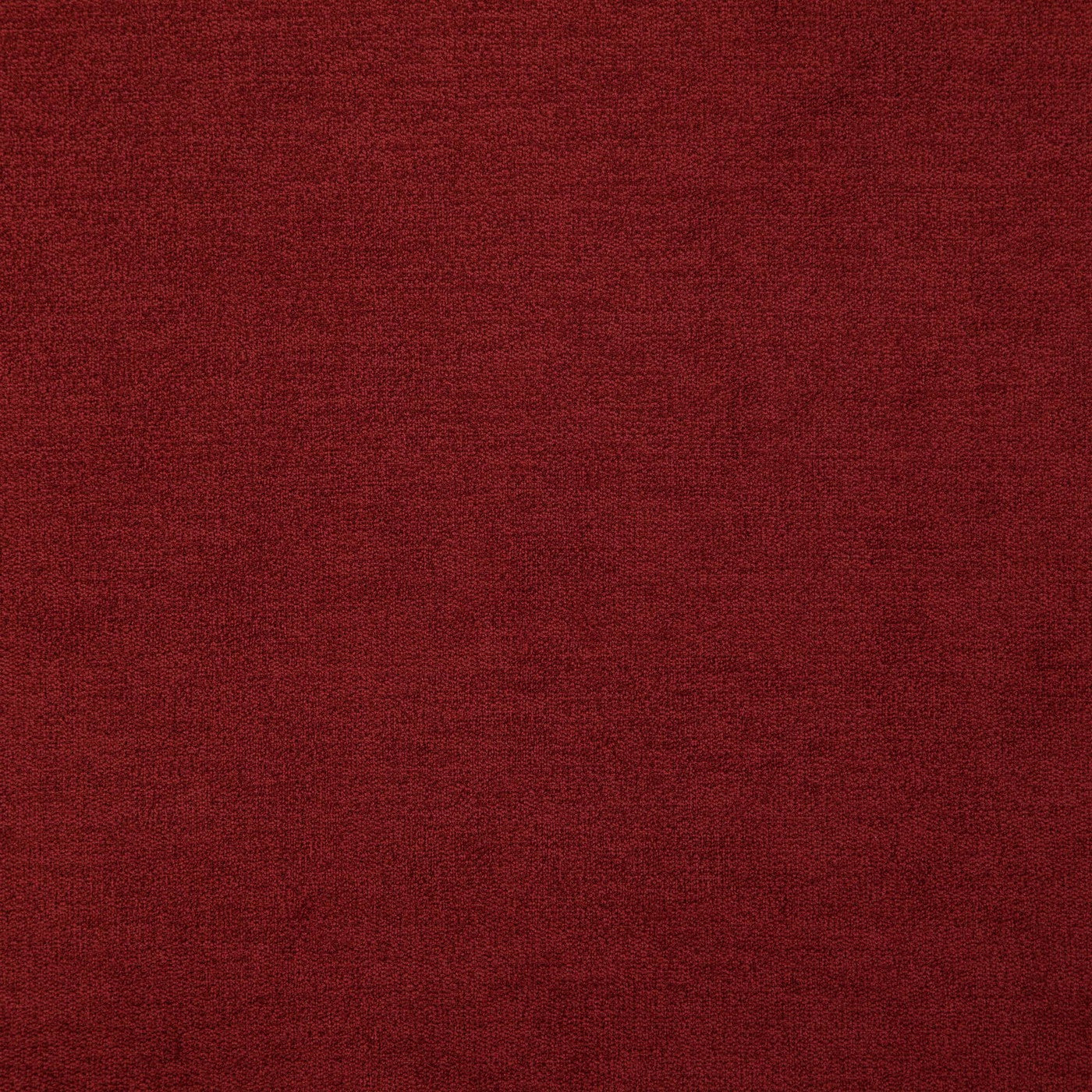 Denver Cardinal