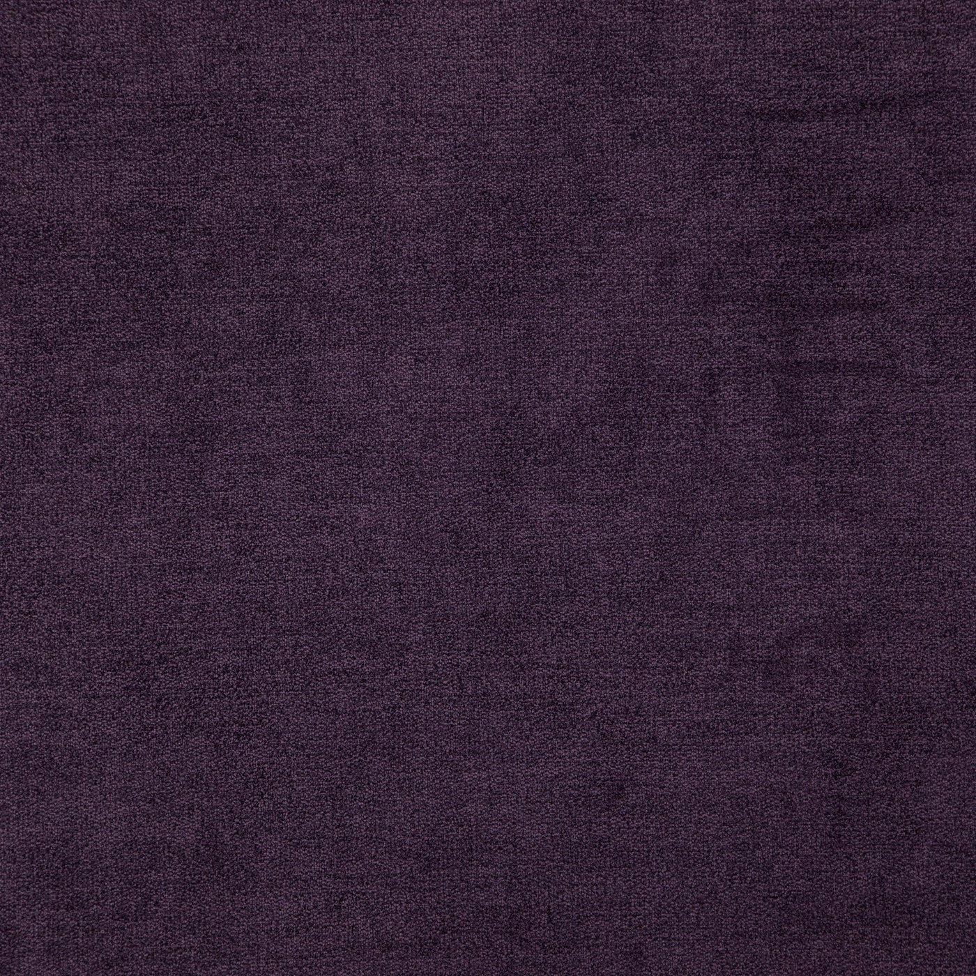 Denver Plum