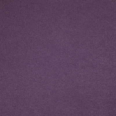 Montana Violet
