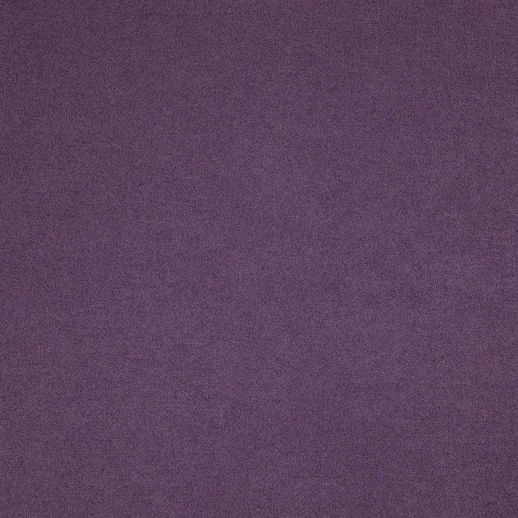 Montana Violet