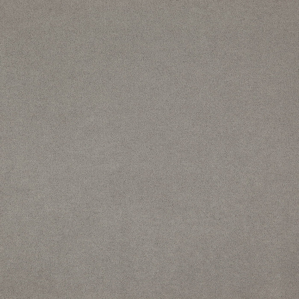 Montana Silver