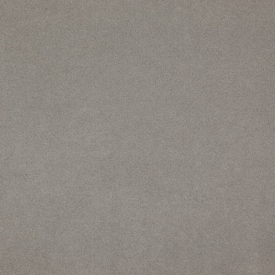Montana Silver