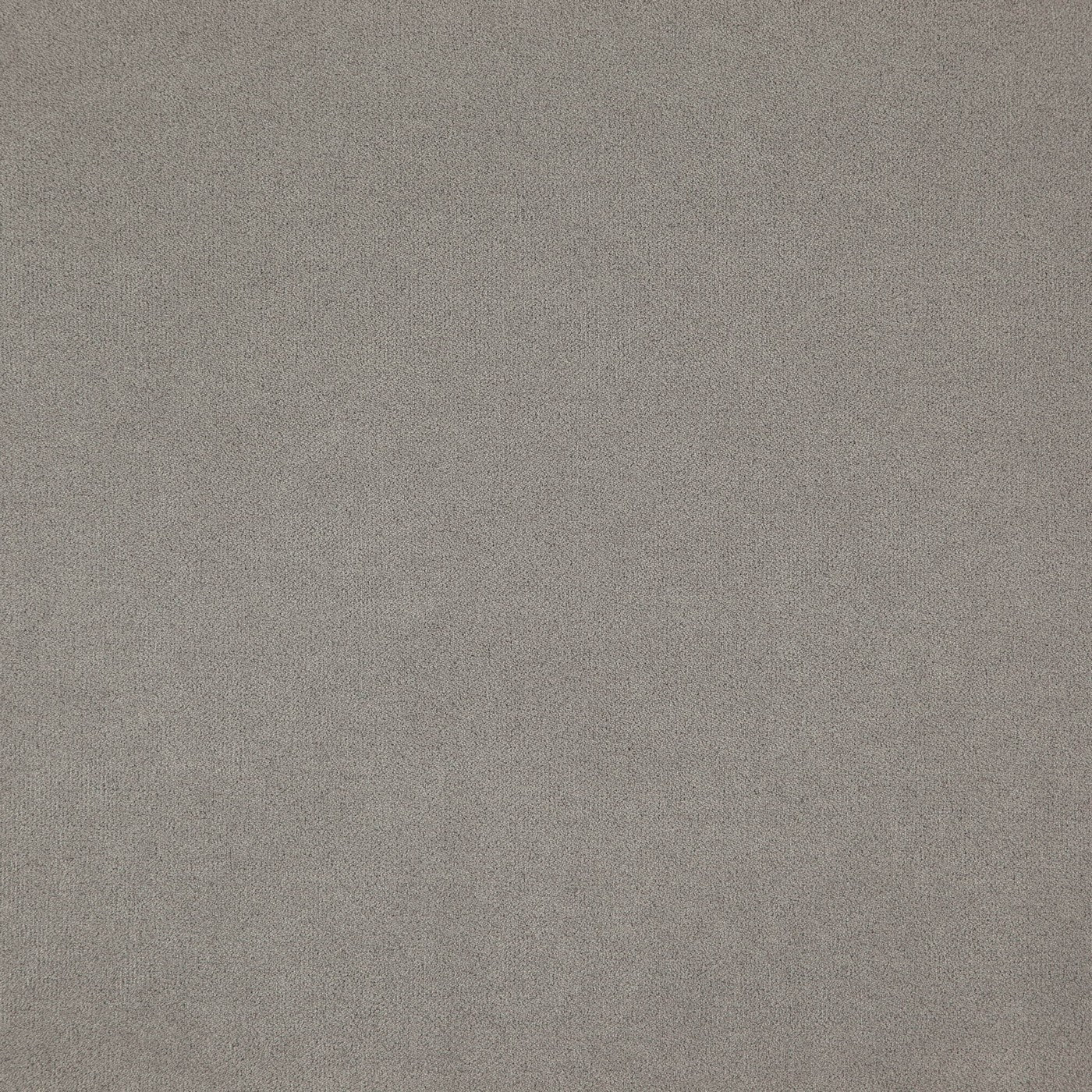Montana Silver