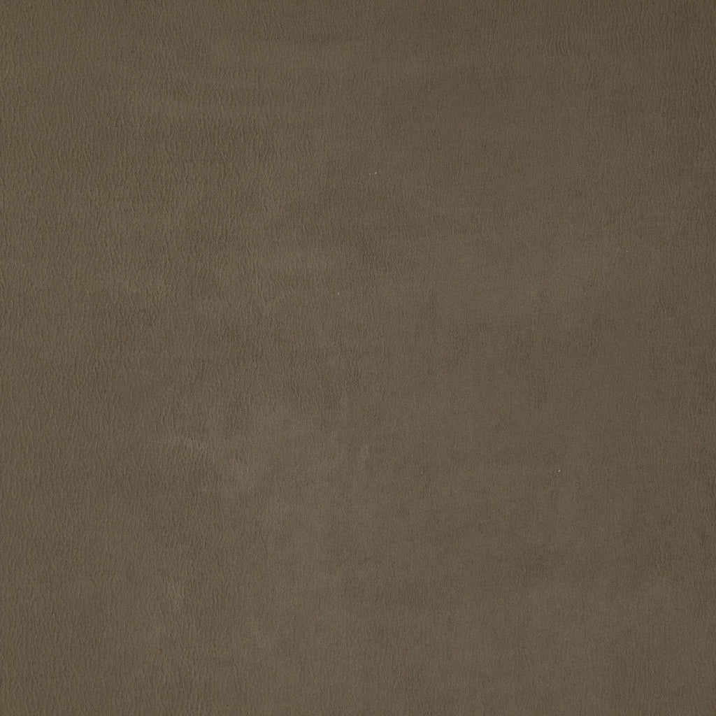 Utah Mocha