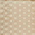 Karoo Ivory
