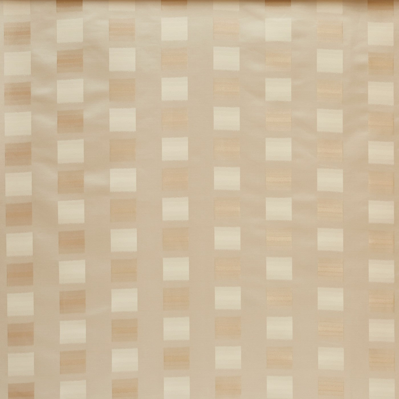 Karoo Ivory