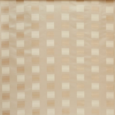 Karoo Ivory