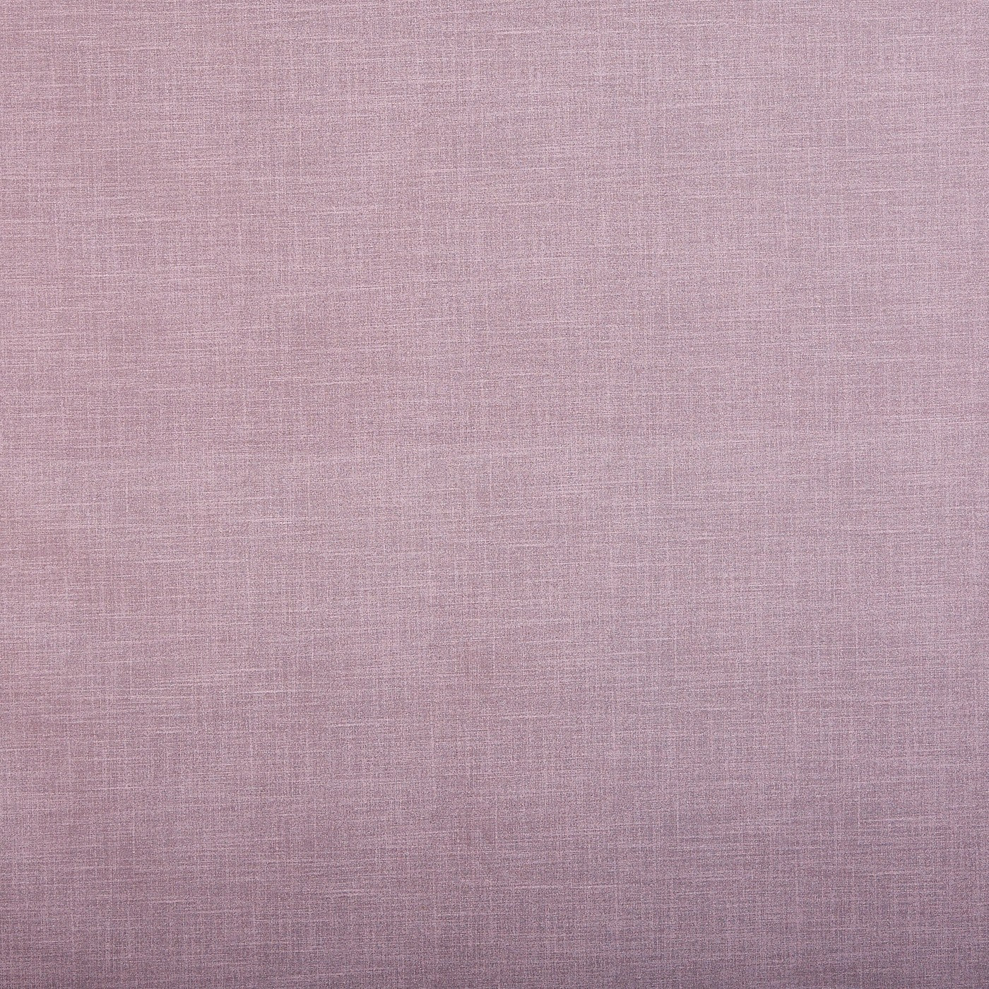 Istria Damson