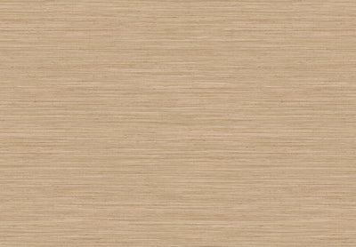 UNITI 2025 SHANTUNG 38474