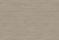 UNITI 2025 SHANTUNG 38477