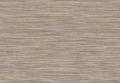 UNITI 2025 SHANTUNG 38477