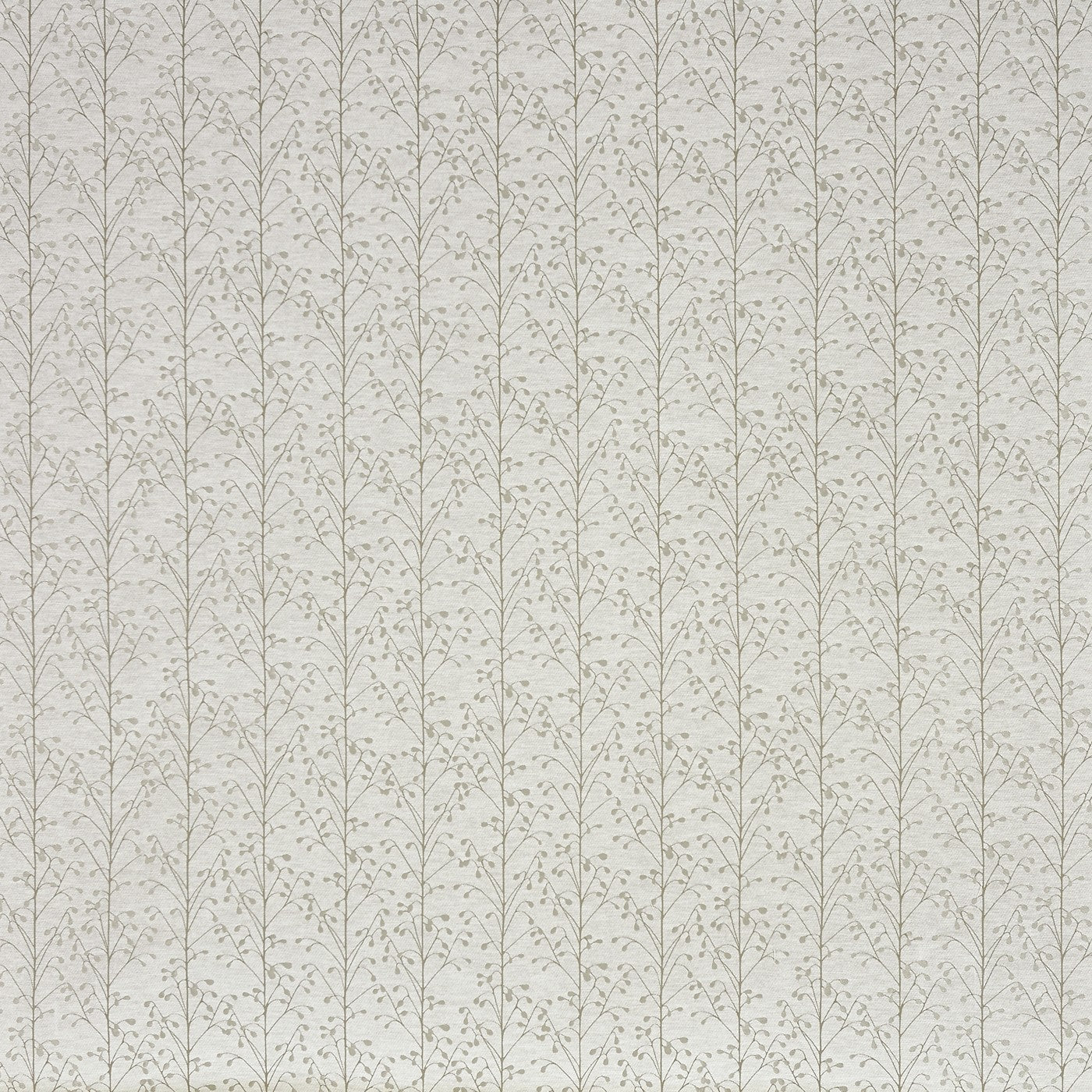 Exmoor Parchment