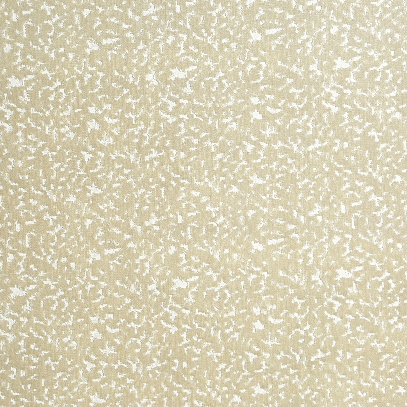Pharaoh Parchment