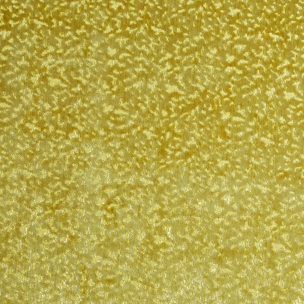 Pharaoh Citron
