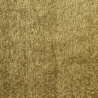 Pharaoh Willow