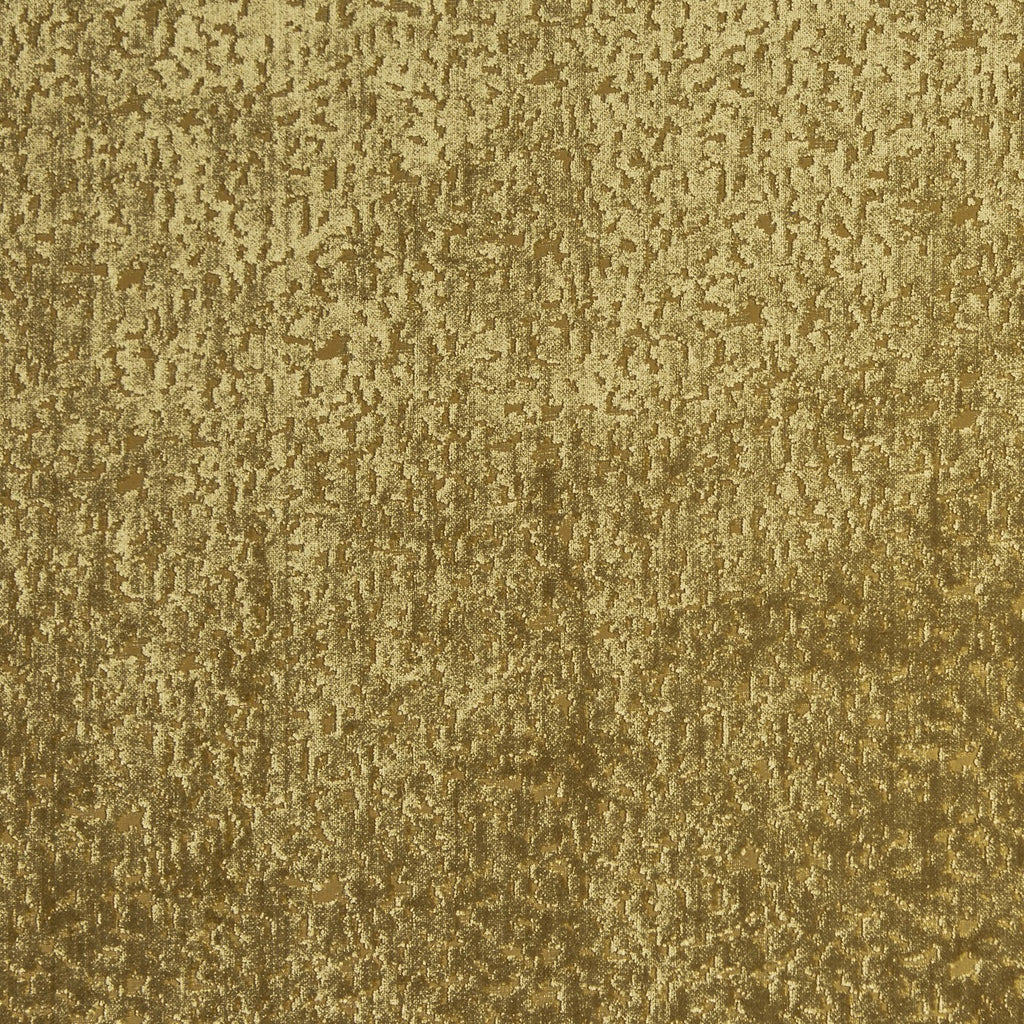 Pharaoh Willow